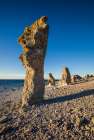 Sweden-Faro Island-Langhammars Area-Langhammar coastal limestone rauk rock-sunset Art Print